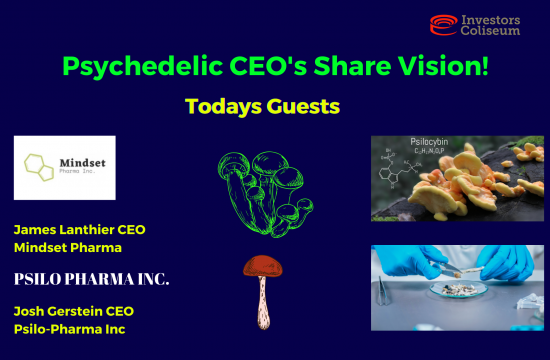 EP. 7: Psychedelics CEO&#8217;s Share Vision of this EXTREMELY HOT SECTOR !