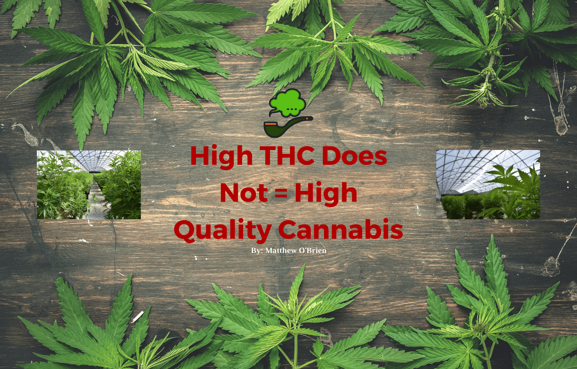 High THC Does Not Equal High Quality Cannabis