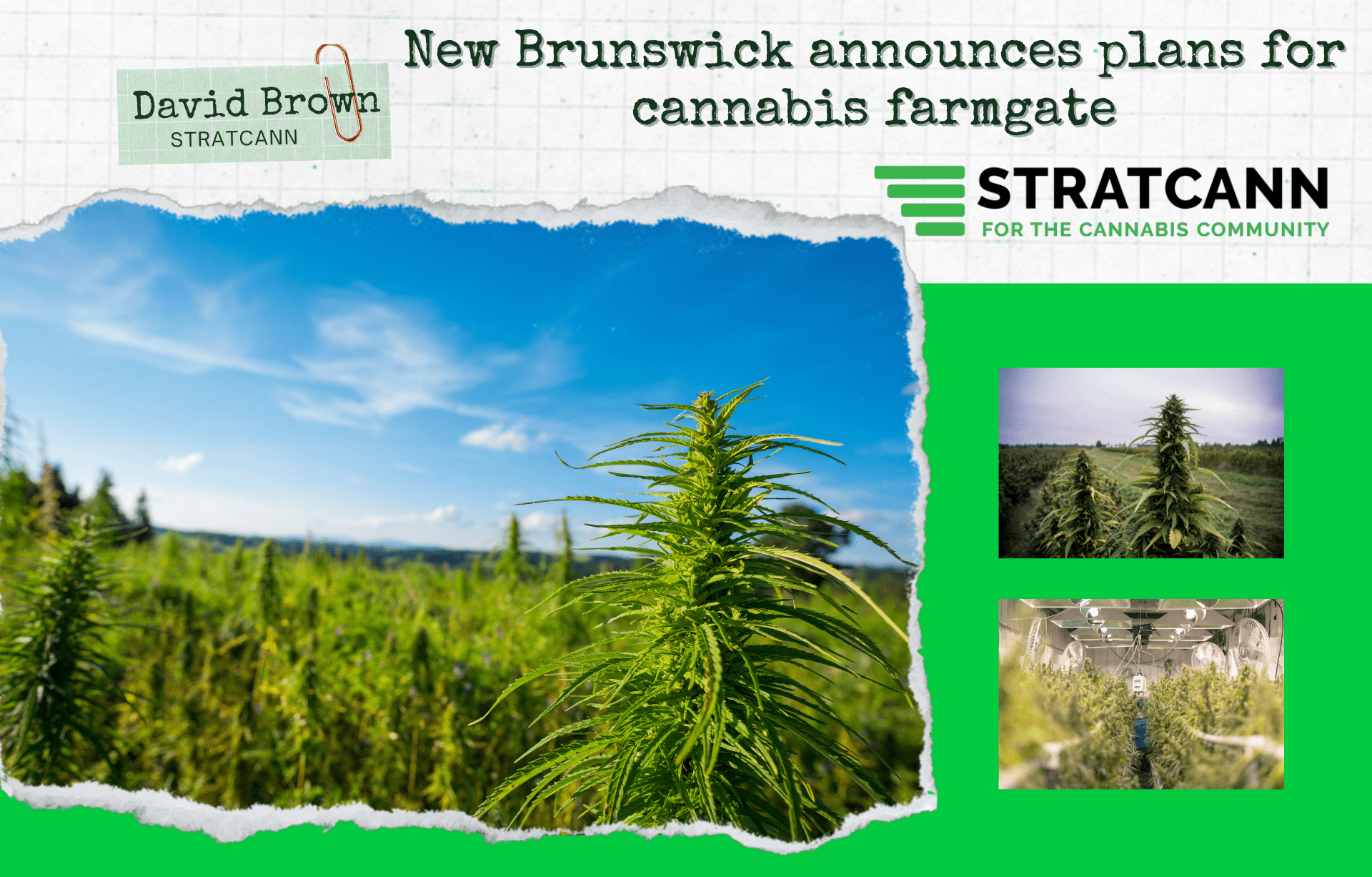 New Brunswick Announces Plans for Cannabis Farmgate
