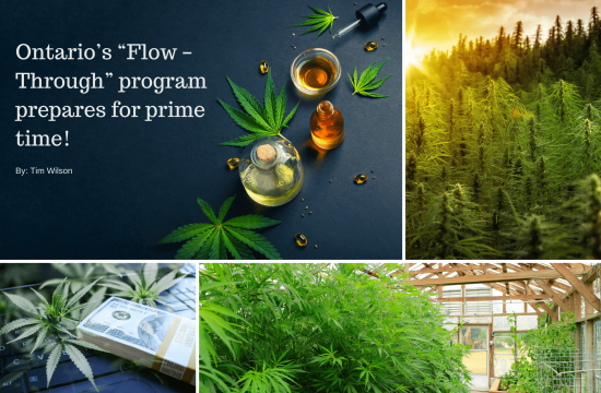 Ontario’s “Flow – Through” Program Prepares for Prime Time!